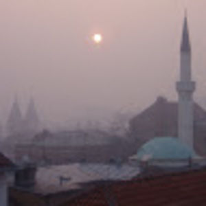 Meet your Posher, Lara j.